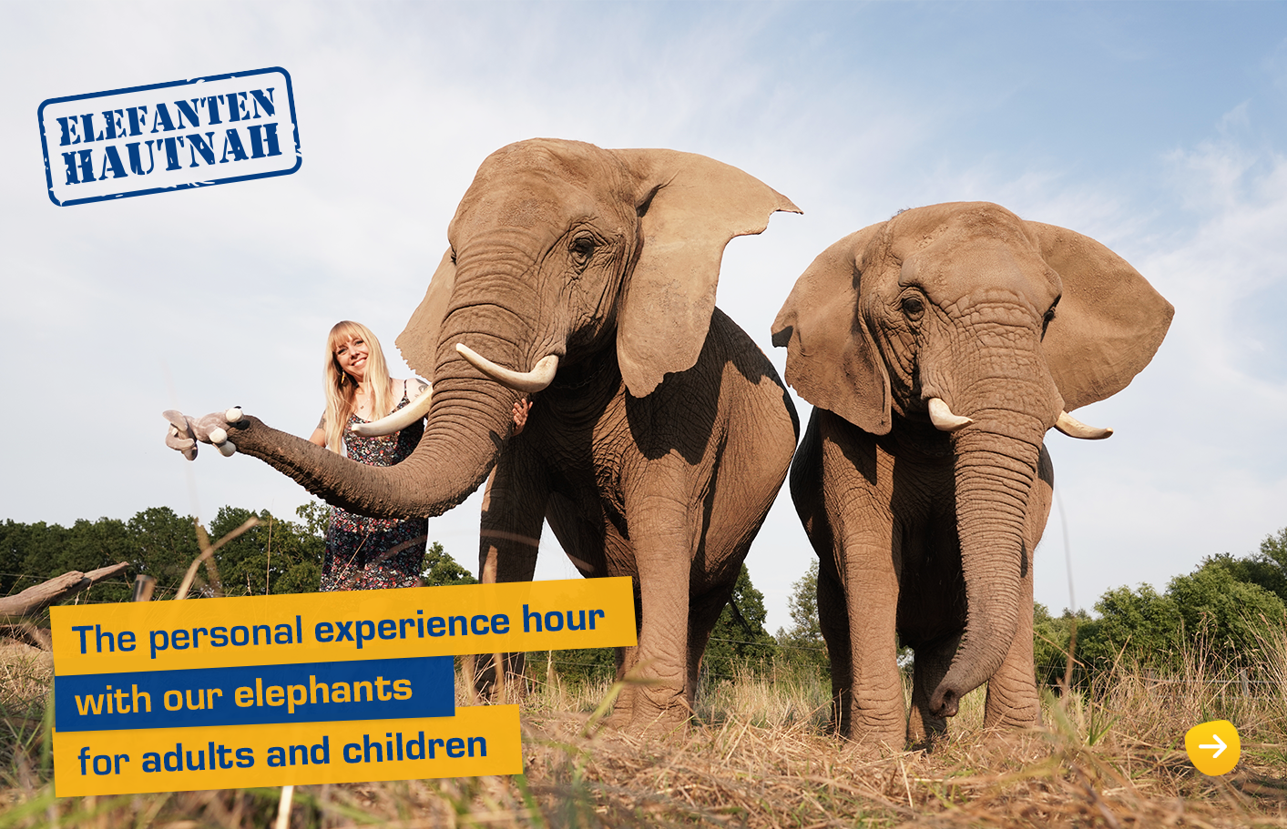 The personal experience hour with our elephants for adults and children