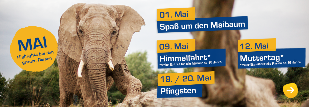Highlights im Mai auf dem Elefantenhof Platschow