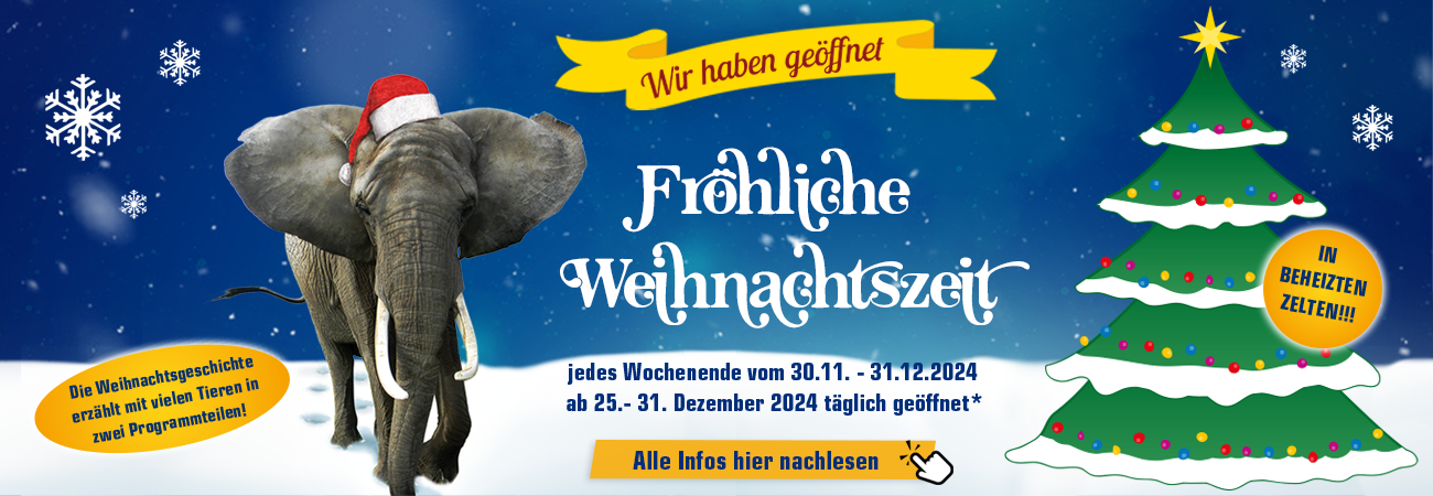 Advents- und Weihnachtsprogramm auf dem Elefantenhof Platschow 2024