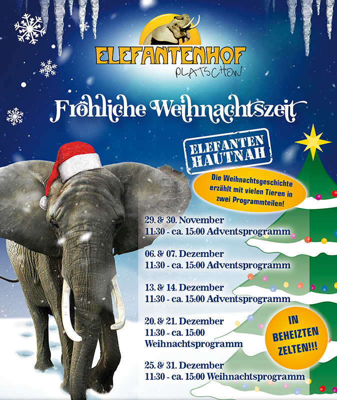 Advents- und Weihnachtsprogramm auf dem Elefantenhof Platschow 2025